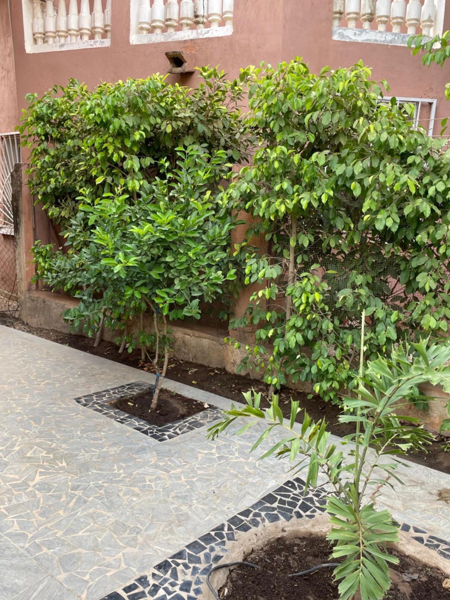 Villa18 Safari Village Saly Dış mekan fotoğraf